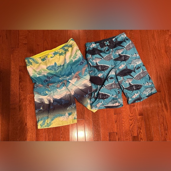 BOYS XL 16-18 BUNDLE OF SHORT/LONG SLEEVE TEES, SWIM/SHORTS. 16 pieces - Picture 8 of 12
